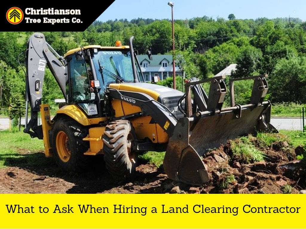 land clearing contractor