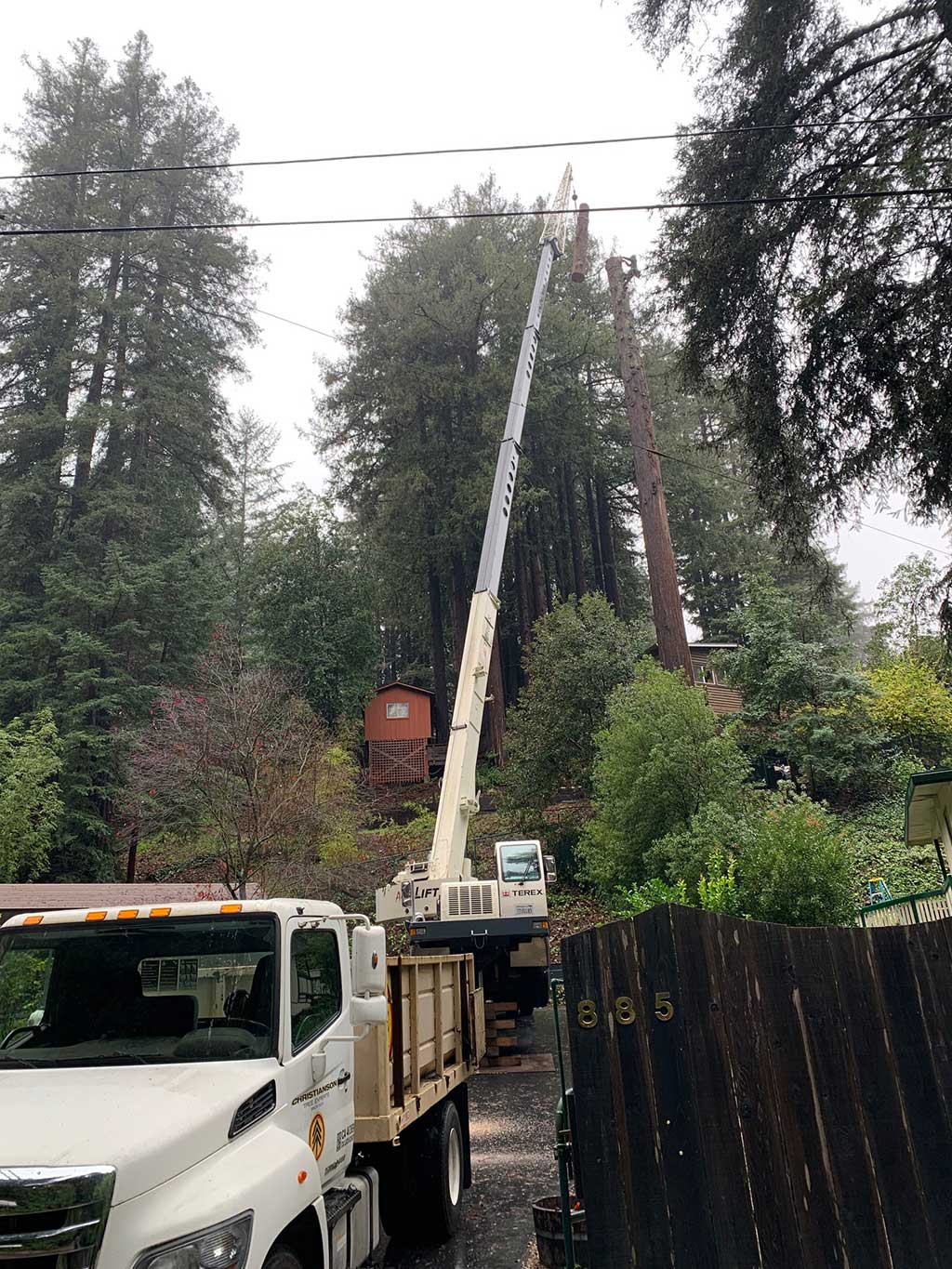 Tree removal crane and an arborist