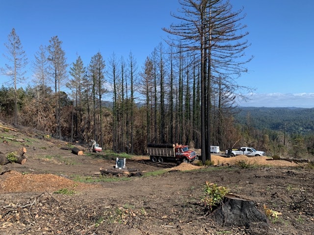 Wildfire cleanup